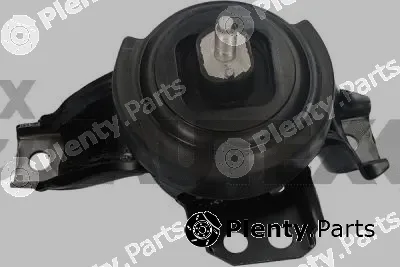 Cautex 769233 — Mounting, engine