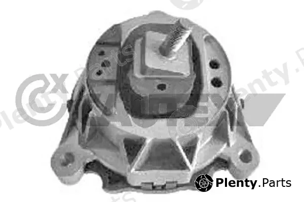 Cautex 769970 — Mounting, engine