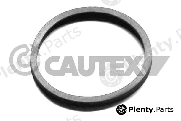 Cautex 954208 — Seal, thermostat
