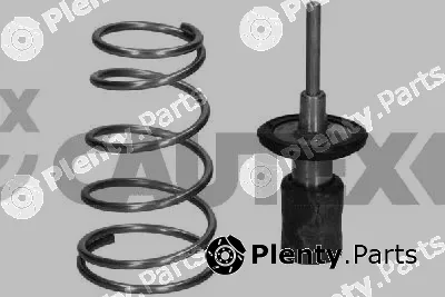 Cautex 774594 — Thermostat, coolant