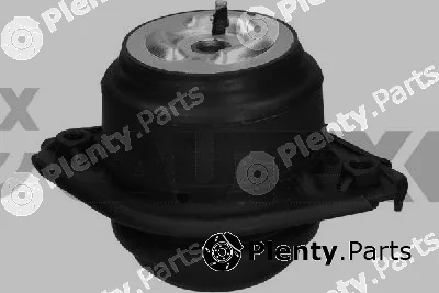 Cautex 775110 — Mounting, engine