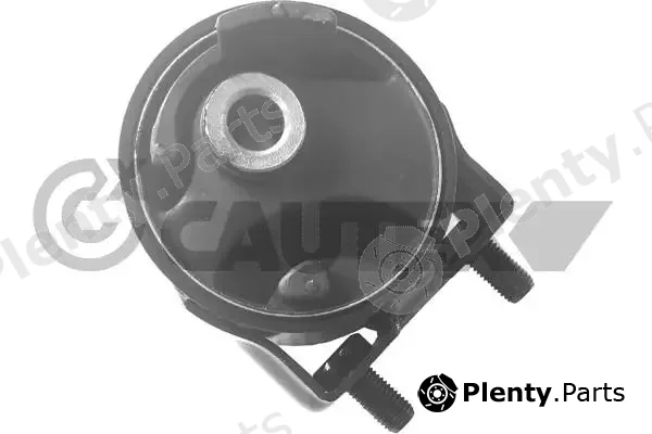 Cautex 760474 — Mounting, engine