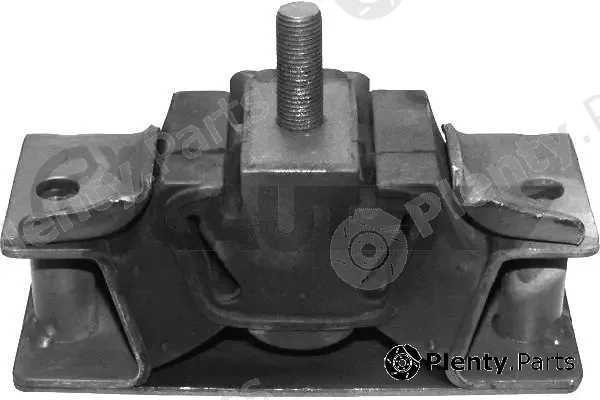 Cautex 010906 — Mounting, engine