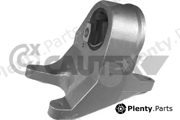Cautex 756029 — Mounting, engine