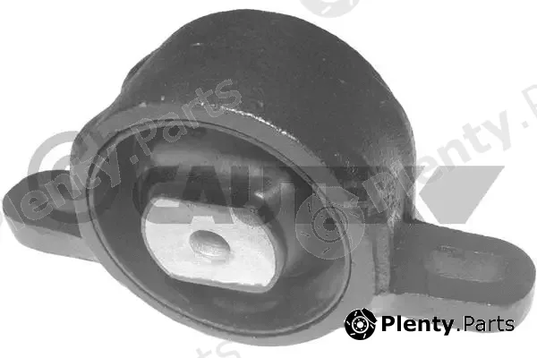 Cautex 081041 — Mounting, engine