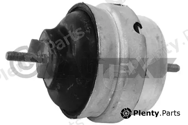 Cautex 756278 — Mounting, engine