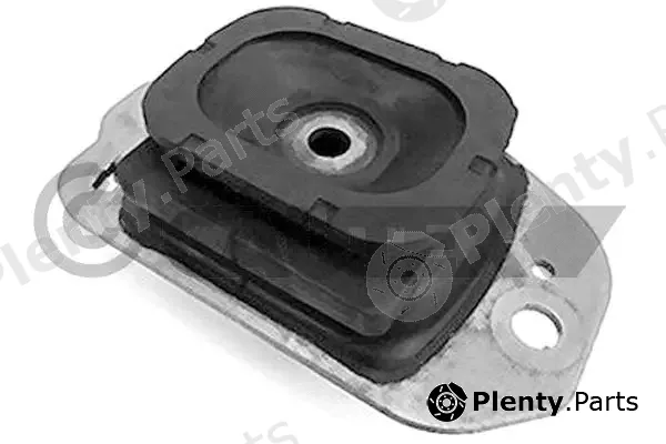 Cautex 756128 — Mounting, engine