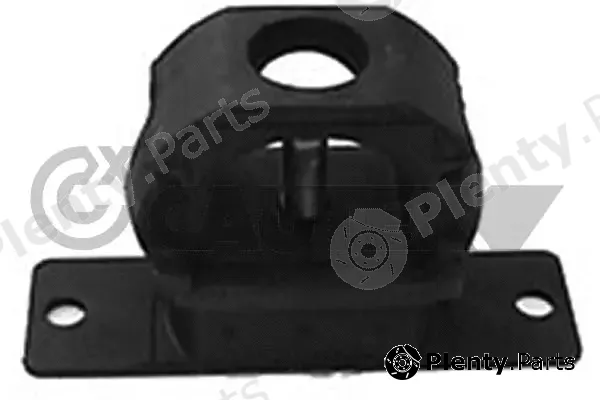 Cautex 010706 — Mounting, engine