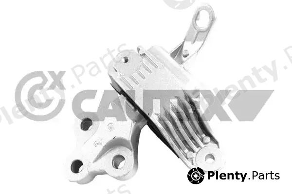 Cautex 760591 — Mounting, engine
