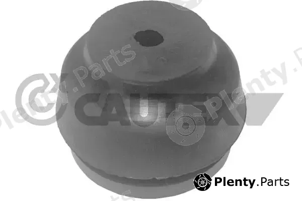 Cautex 100006 — Mounting, engine