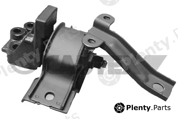 Cautex 769599 — Mounting, engine