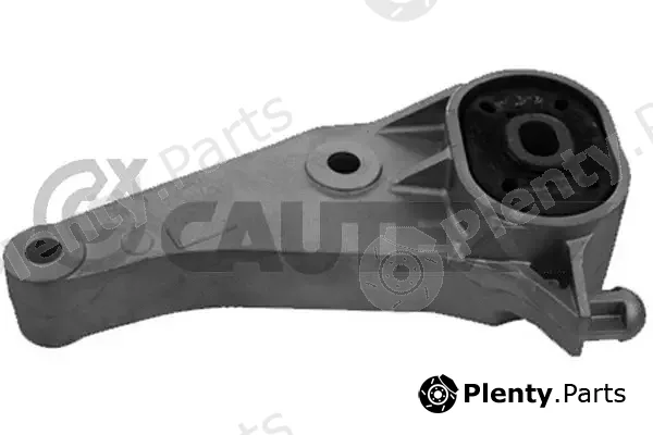 Cautex 755961 — Mounting, engine