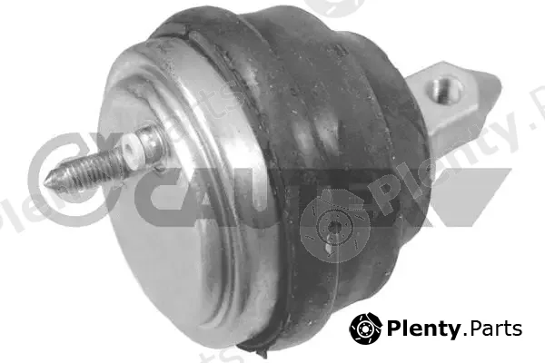 Cautex 201552 — Mounting, engine