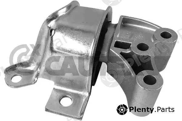 Cautex 759080 — Mounting, engine