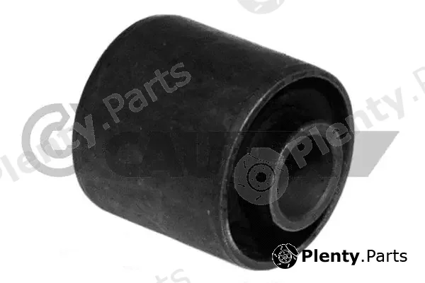 Cautex 030211 — Mounting, engine