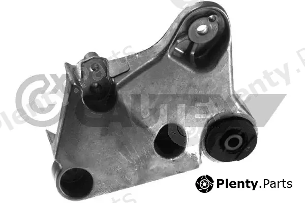 Cautex 772707 — Mounting, engine
