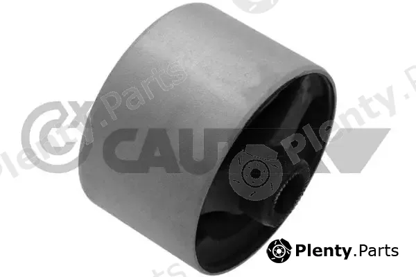 Cautex 766880 — Mounting, engine