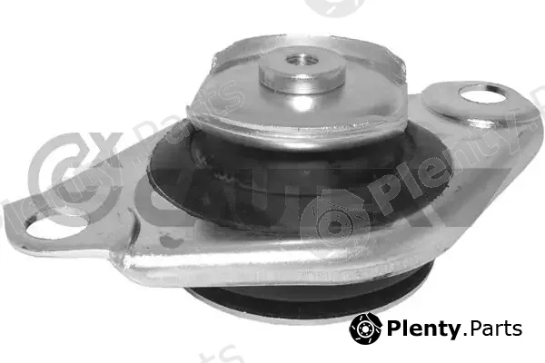 Cautex 756207 — Mounting, engine