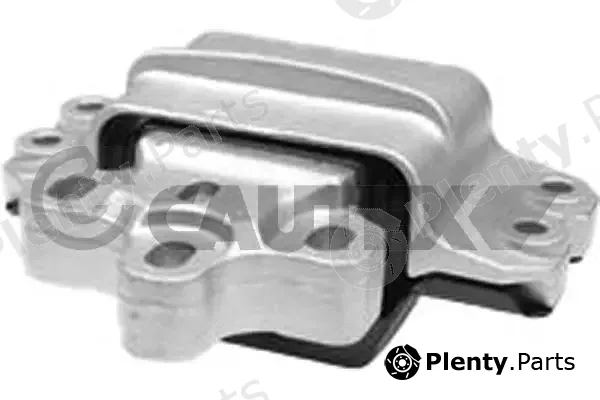 Cautex 774621 — Mounting, engine