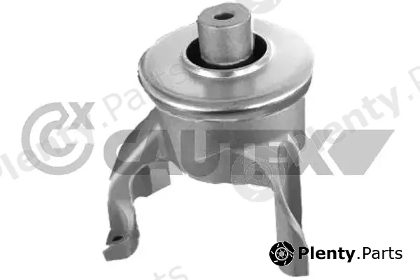 Cautex 770264 — Mounting, engine