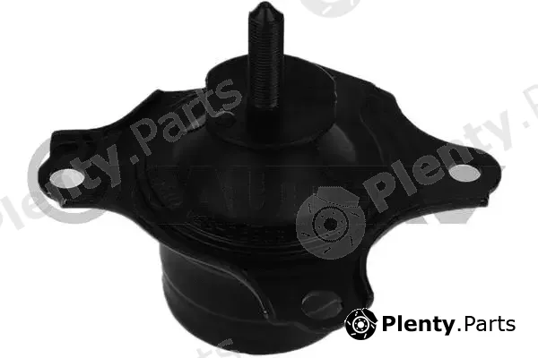 Cautex 756492 — Mounting, engine