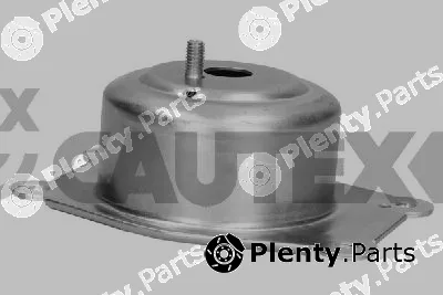 Cautex 482527 — Mounting, engine