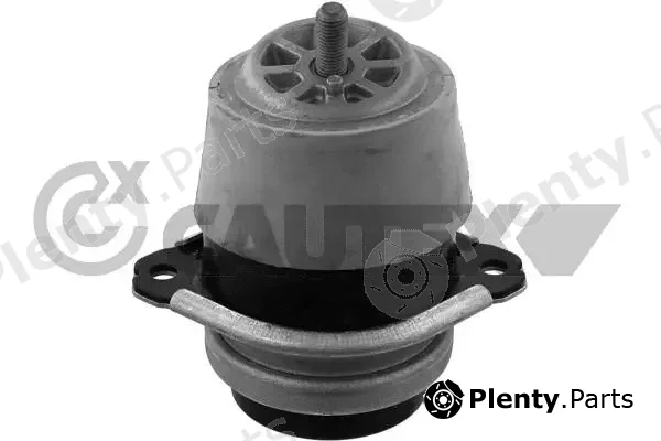 Cautex 759335 — Mounting, engine