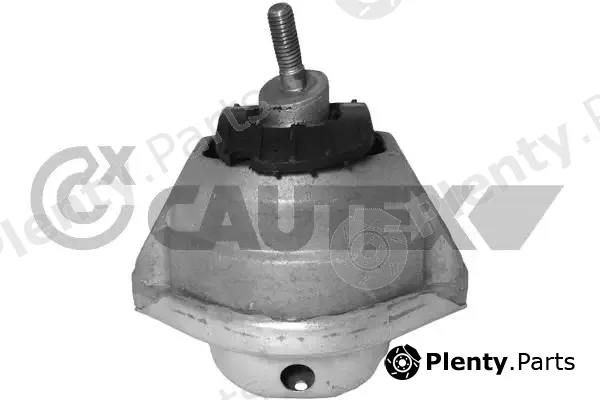 Cautex 756148 — Mounting, engine