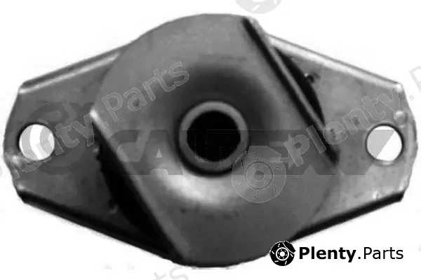 Cautex 010629 — Mounting, engine