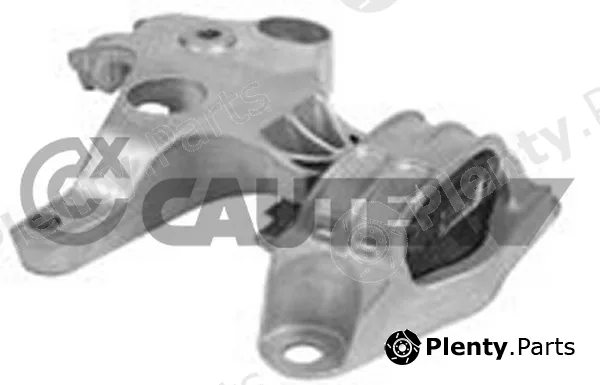 Cautex 756222 — Mounting, engine