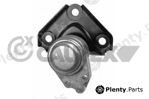Cautex 081258 — Mounting, engine