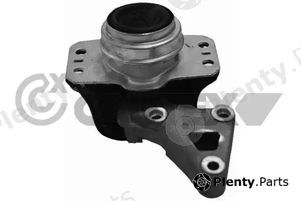 Cautex 031125 — Mounting, engine