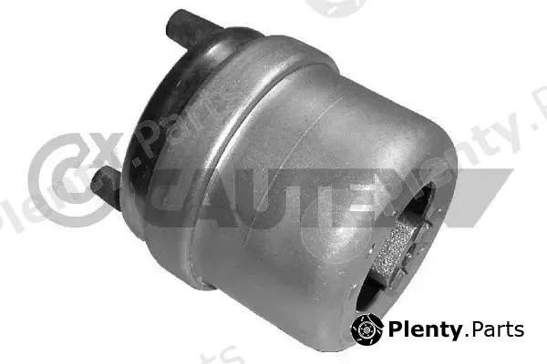 Cautex 461037 — Mounting, engine