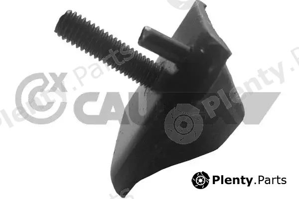 Cautex 030163 — Mounting, engine