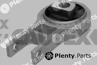 Cautex 775629 — Mounting, engine