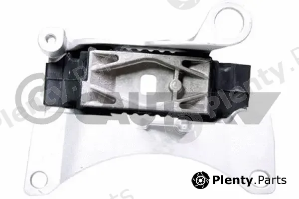 Cautex 759784 — Mounting, engine