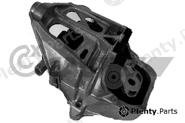Cautex 776386 — Mounting, engine