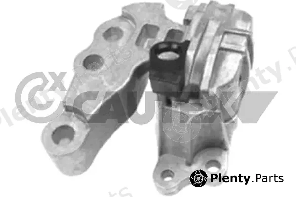 Cautex 760994 — Mounting, engine