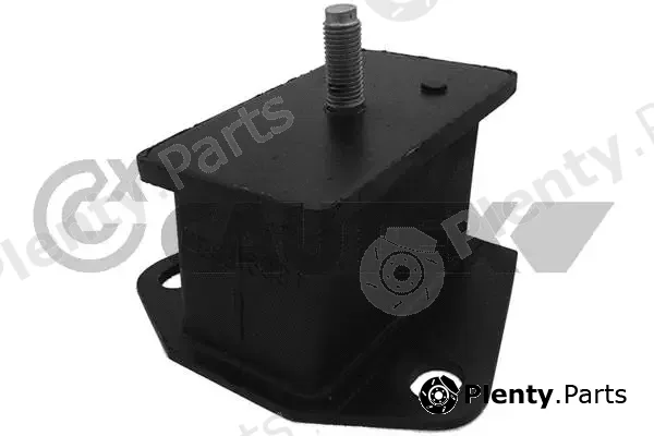 Cautex 756427 — Mounting, engine