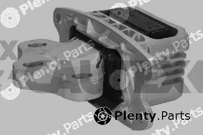 Cautex 771927 — Mounting, engine