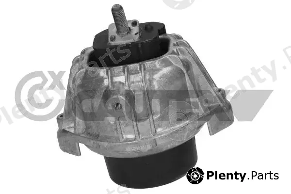 Cautex 756156 — Mounting, engine