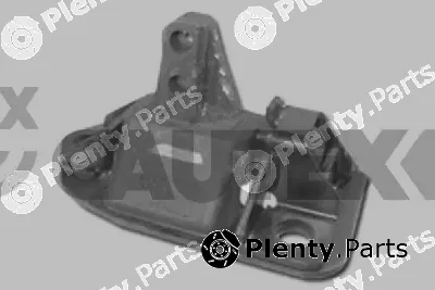 Cautex 250060 — Mounting, engine