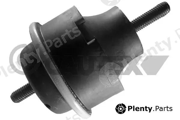 Cautex 030228 — Mounting, engine