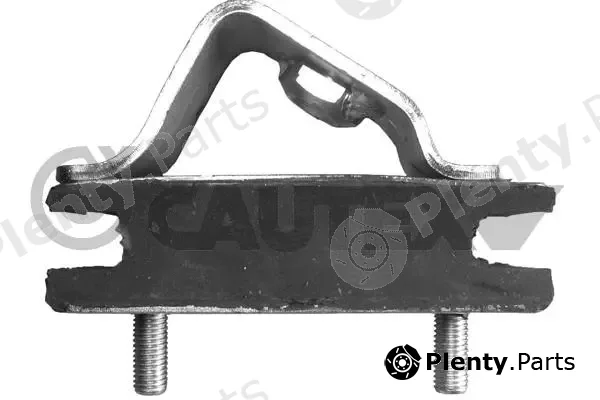Cautex 755943 — Mounting, engine