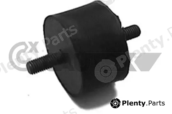 Cautex 060070 — Mounting, engine