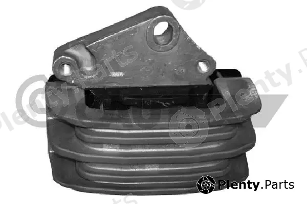Cautex 081156 — Mounting, engine