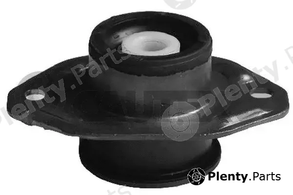 Cautex 061013 — Mounting, engine