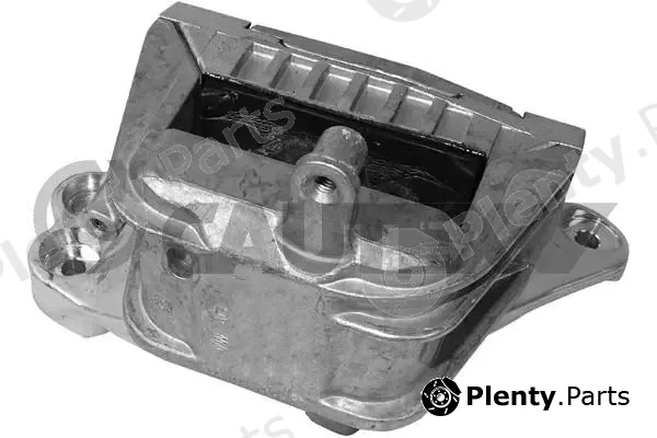 Cautex 759318 — Mounting, engine
