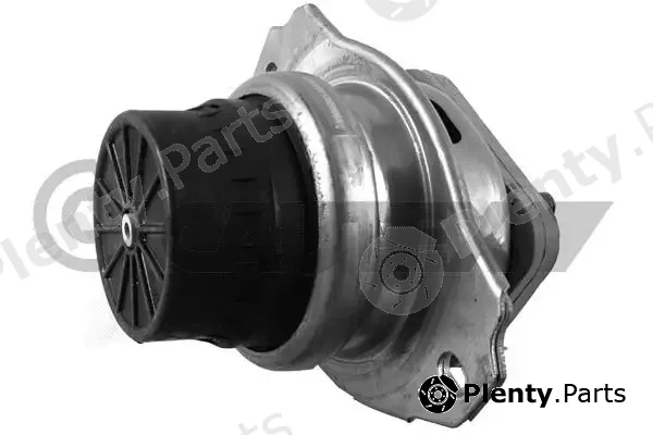 Cautex 767541 — Mounting, engine