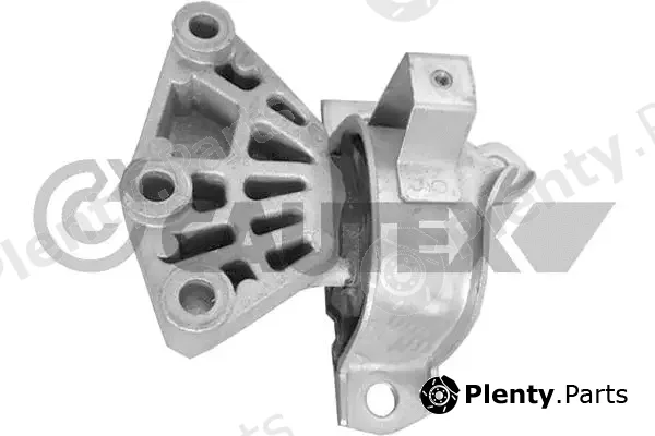 Cautex 770999 — Mounting, engine